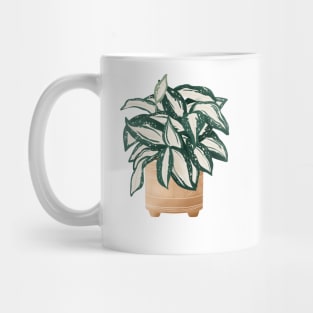 Dracaena Surculosa Mug